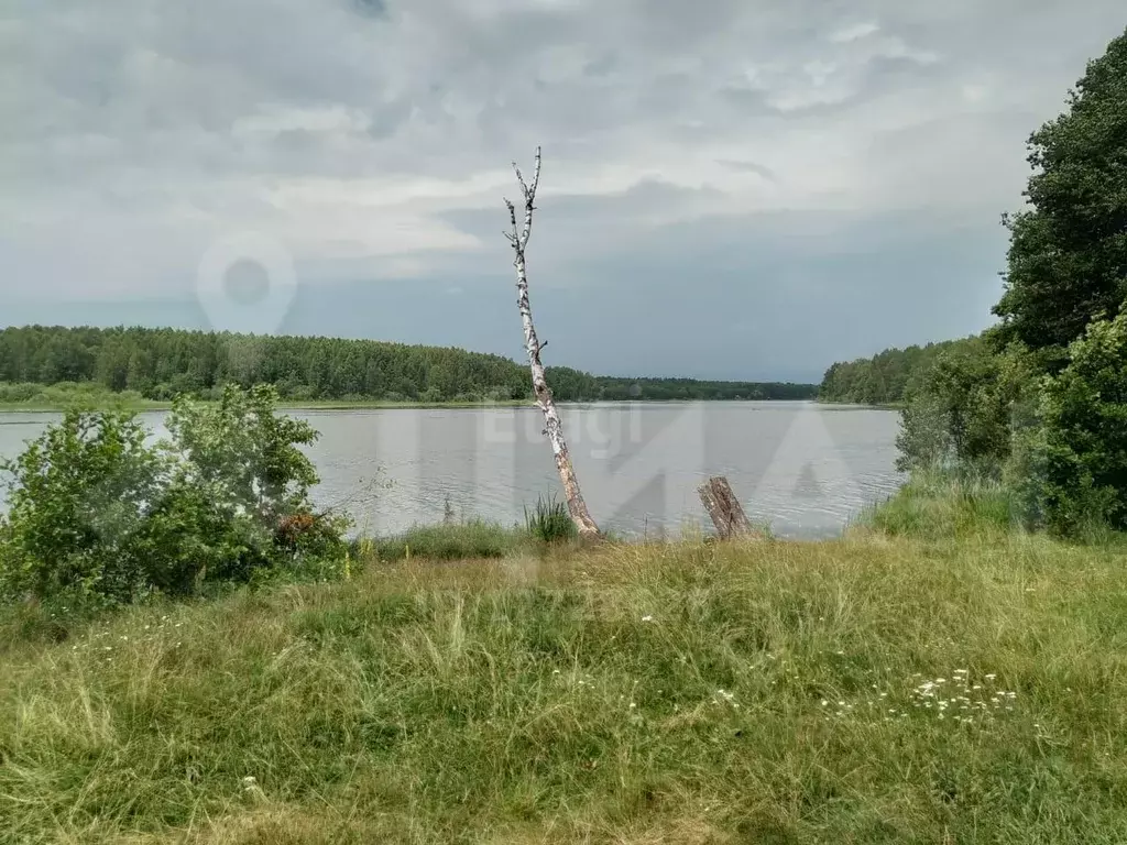 Погода в жерелево калужской карта