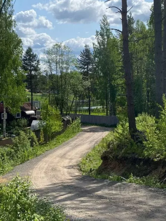 Участок в Ленинградская область, Всеволожский район, Куйвозовское ... - Фото 2