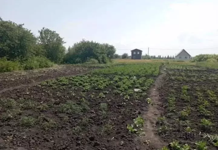 Участок в Белгородская область, Белгородский район, Бессоновское ... - Фото 1