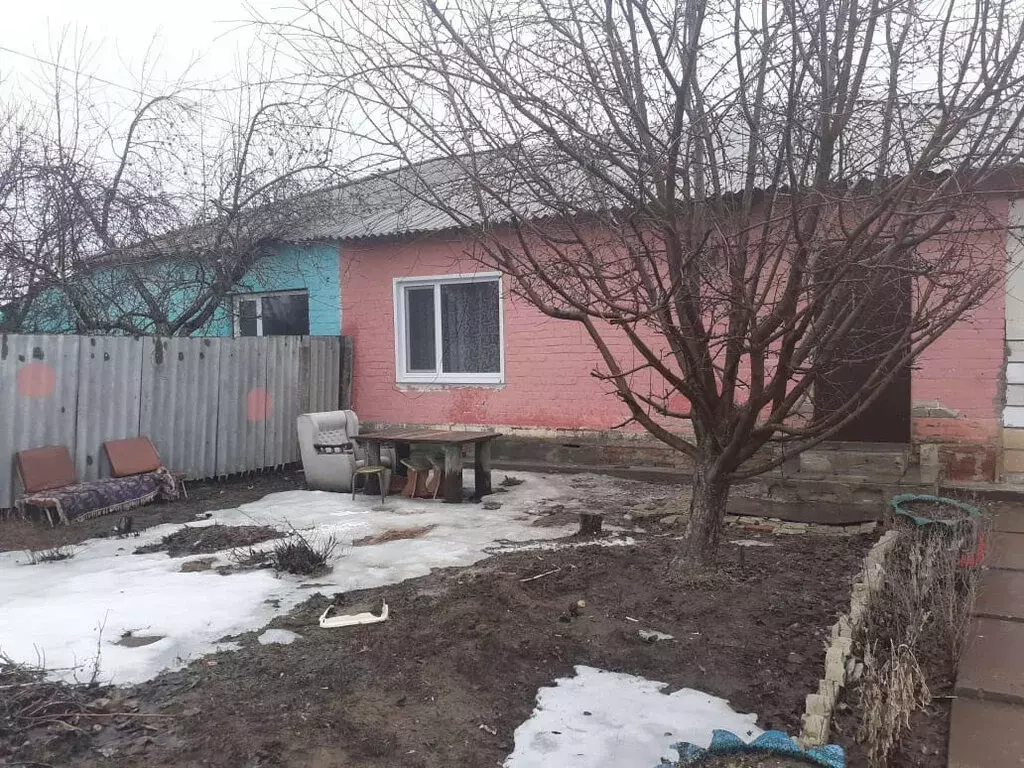 Дом в Саратовская область, муниципальное образование Красный Кут, ... - Фото 0