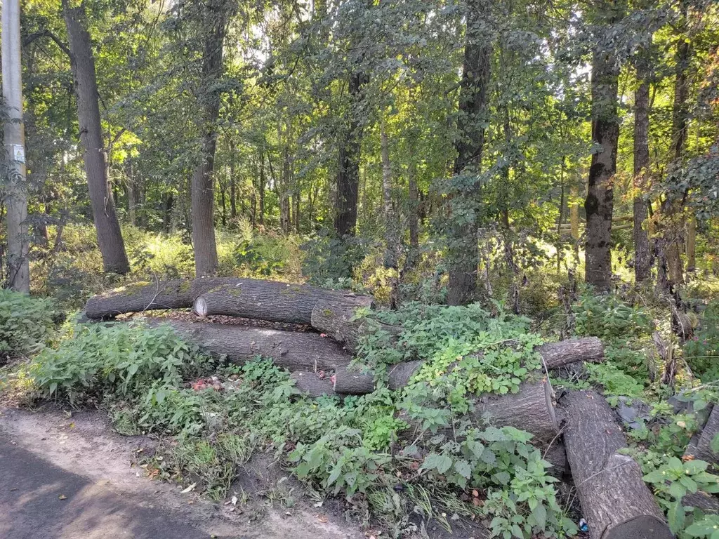 Участок в Новгородская область, Великий Новгород Район Торговая ... - Фото 1