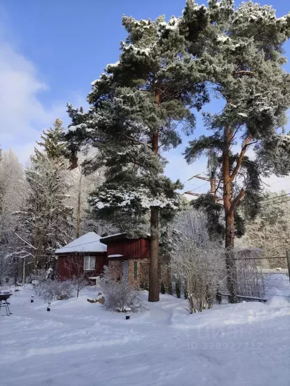 Дом в Санкт-Петербург, Санкт-Петербург, Сестрорецк Тарховка ... - Фото 2