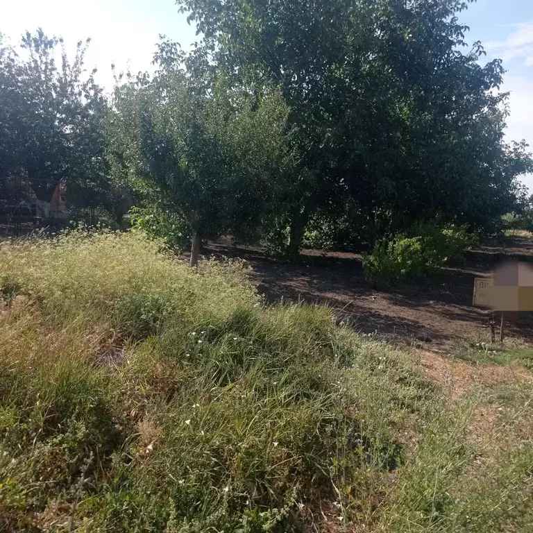 Участок в Ростовская область, Таганрог Металлург садовое товарищество, ... - Фото 0