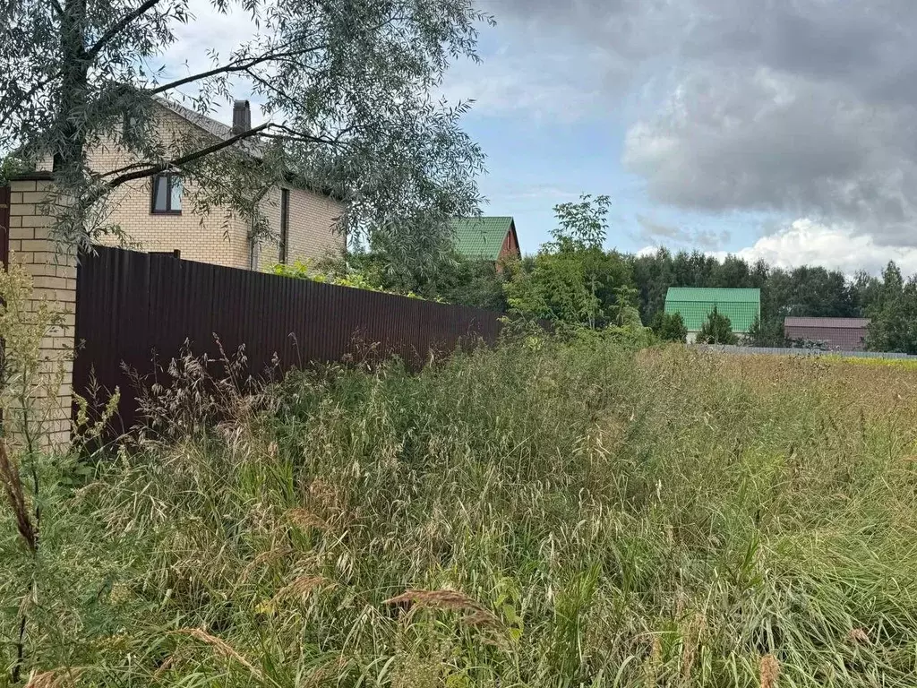 Участок в Московская область, Богородский городской округ, д. Тимохово ... - Фото 2