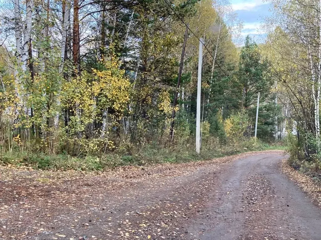 Участок в Кемеровская область, Новокузнецк Шахтостроитель СНТ,  (12.0 ... - Фото 1