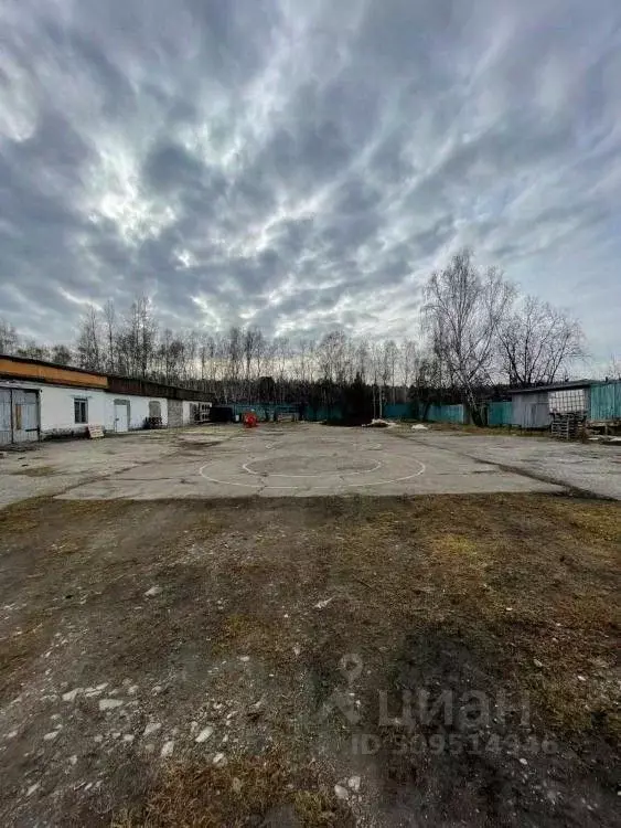 Помещение свободного назначения в Иркутская область, Черемхово проезд ... - Фото 1
