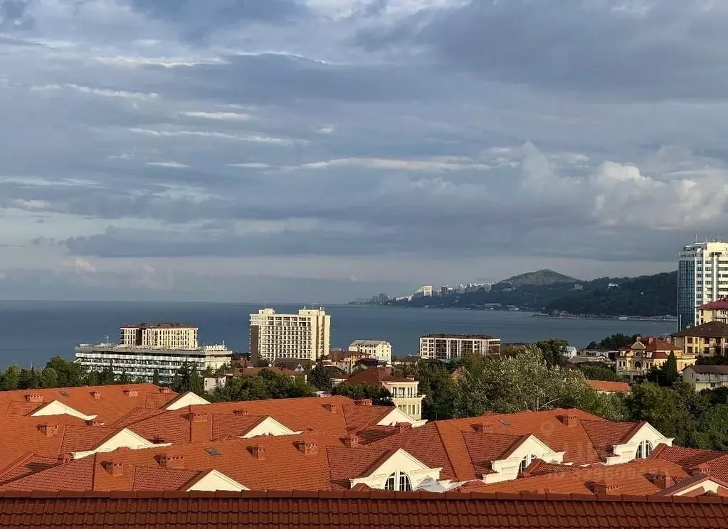 Помещение свободного назначения в Краснодарский край, Сочи ул. Ленина, ... - Фото 2