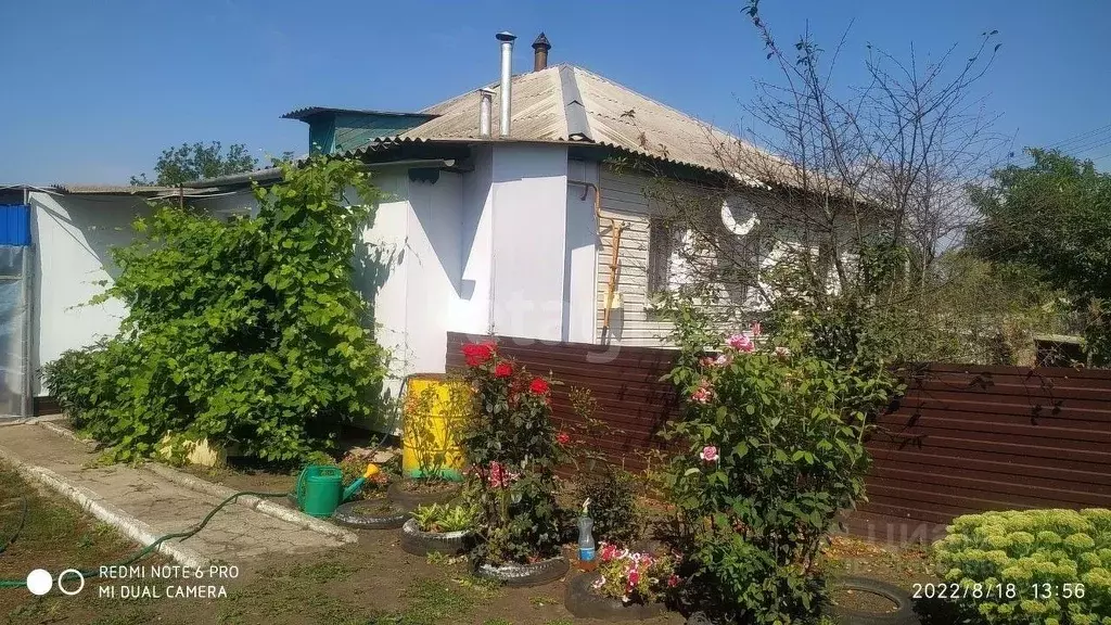 Дом в Белгородская область, Вейделевский район, с. Долгое ул. ... - Фото 1