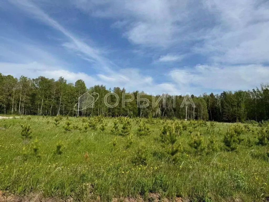 Участок в Тюменская область, Тюменский муниципальный округ, д. ... - Фото 2