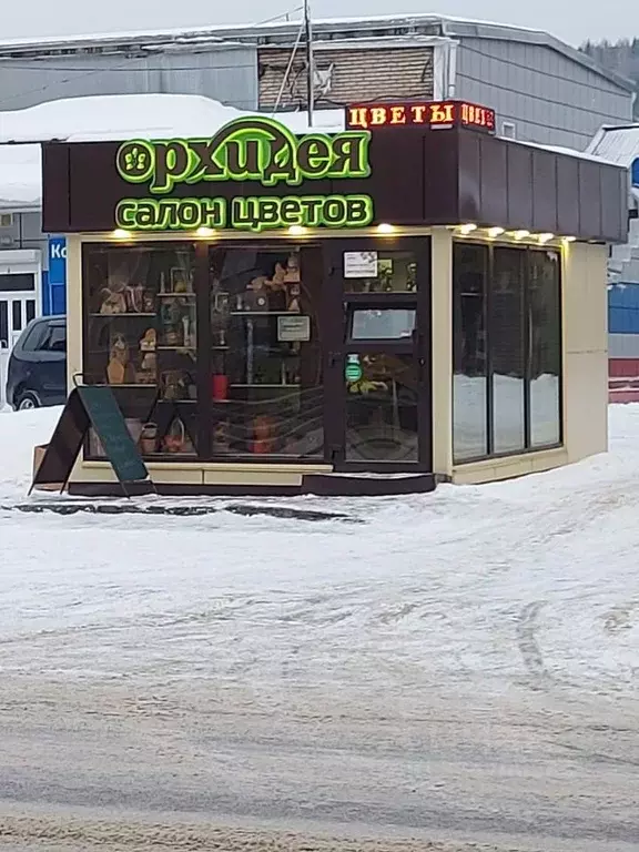 Торговая площадь в Алтайский край, Белокуриха ул. Академика Мясникова, ... - Фото 1