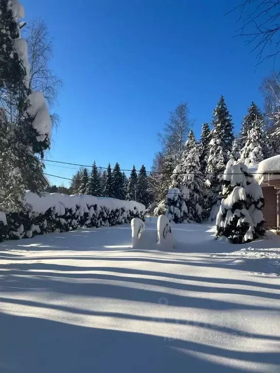 Дом в Ярославская область, Переславль-Залесский муниципальный округ, ... - Фото 2