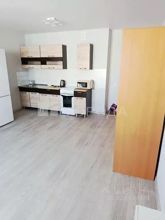 Студия Новосибирская область, Новосибирск ул. Татьяны Снежиной, 43 ... - Фото 1