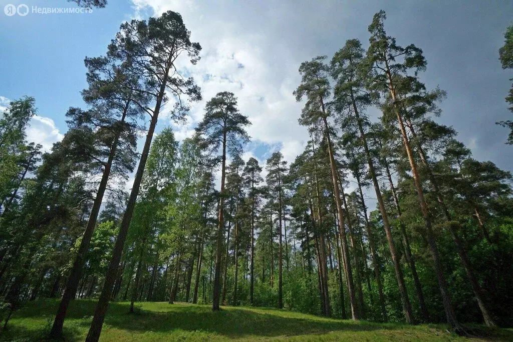 Участок в посёлок Гагарский, загородный комплекс Лайф, 10-я Парковая ... - Фото 0