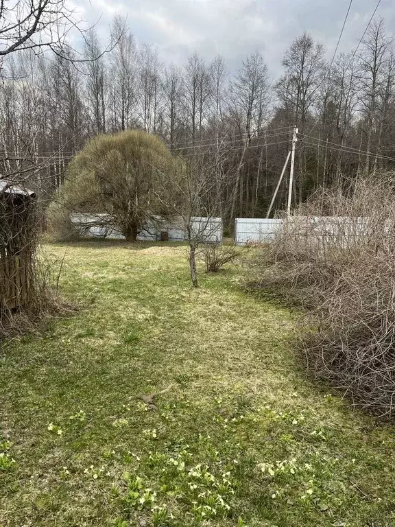 Участок в Московская область, Щелково городской округ, Малое Шастово ... - Фото 2