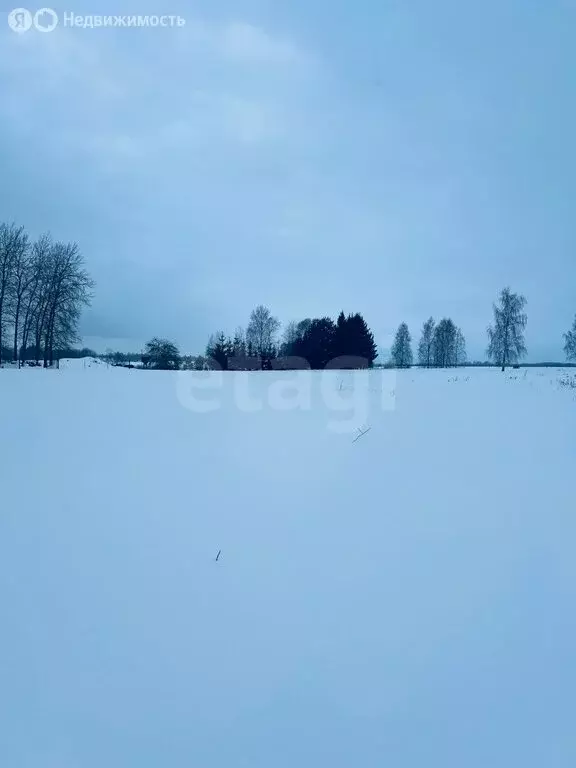 Участок в Калининградская область, Гвардейский муниципальный округ, ... - Фото 2