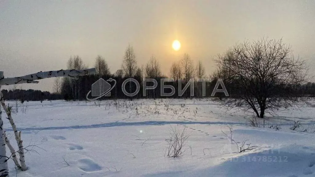 Участок в Тюменская область, Нижнетавдинский район, Мечта ДНТ ул. 6-я ... - Фото 0
