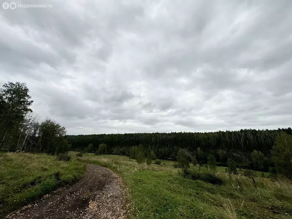 Участок в Каменский городской округ, деревня Бекленищева (580 м) - Фото 0