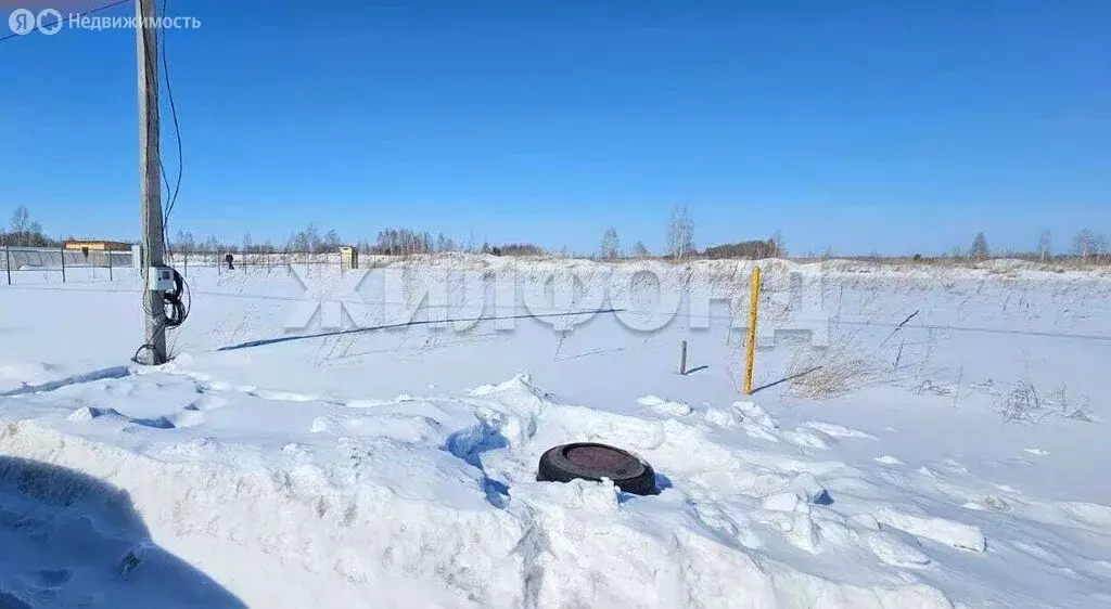 Участок в Новосибирский район, Верх-Тулинский сельсовет, посёлок ... - Фото 2