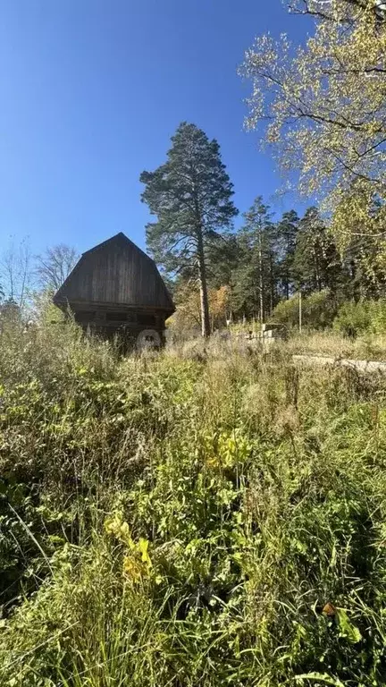 Участок в Кемеровская область, Новокузнецкий муниципальный округ, пос. ... - Фото 1