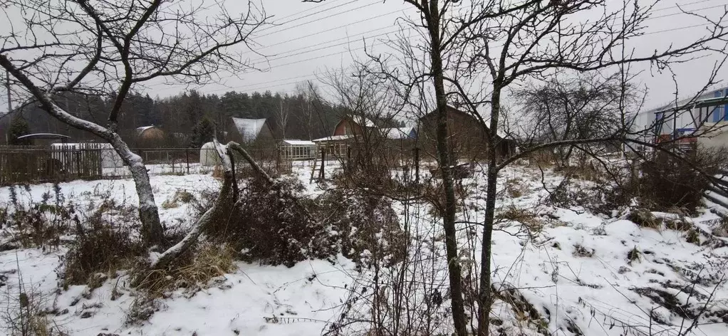 Дом в Московская область, Щелково городской округ, Заозерный СНТ ул. ... - Фото 0
