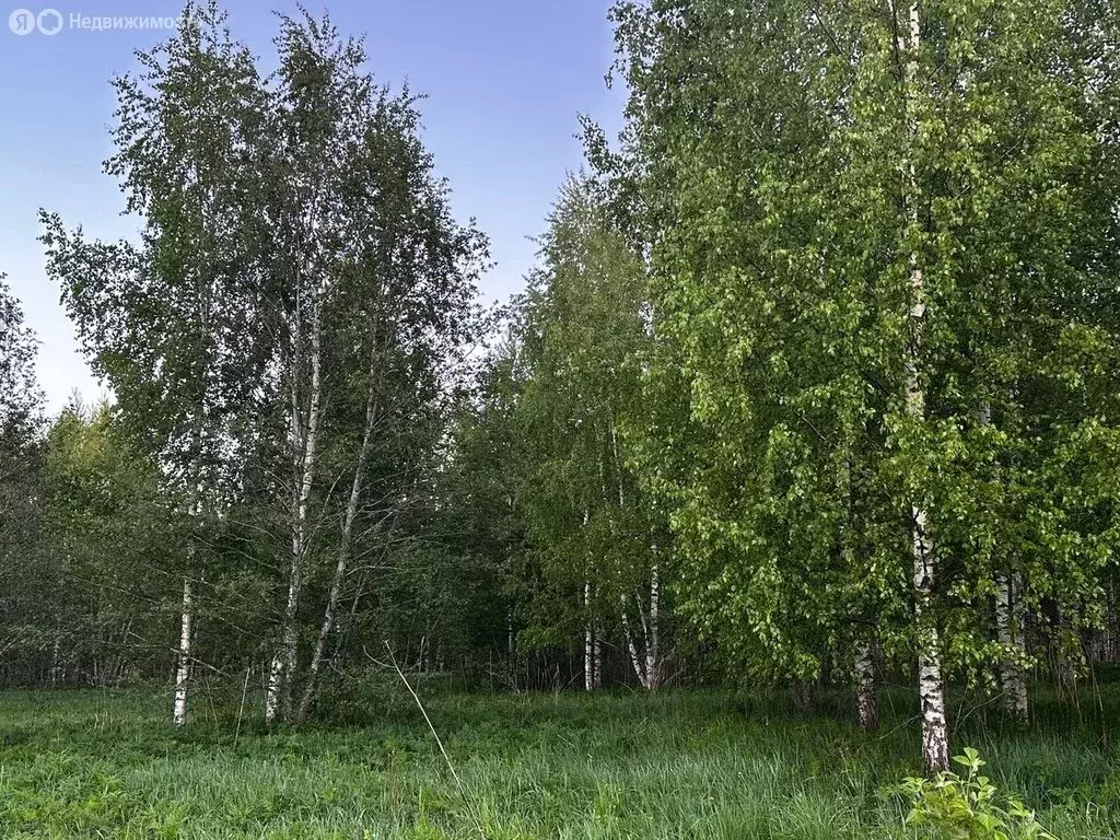 Участок в Череповецкий район, муниципальное образование Югское, ... - Фото 0