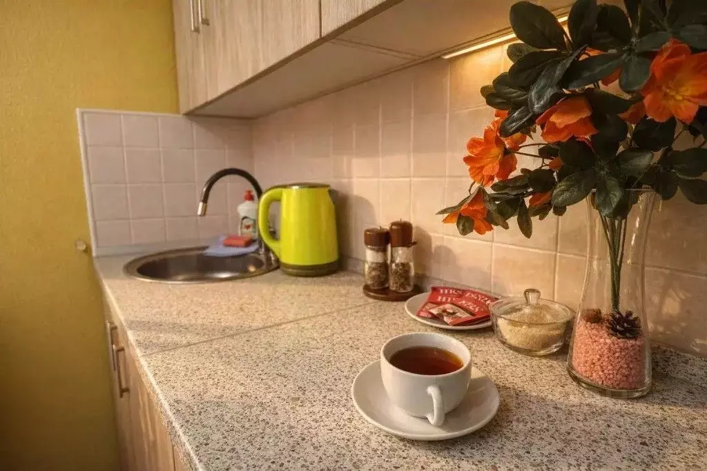 1-к кв. Москва Пятницкое ш., 11 (18.0 м) - Фото 2