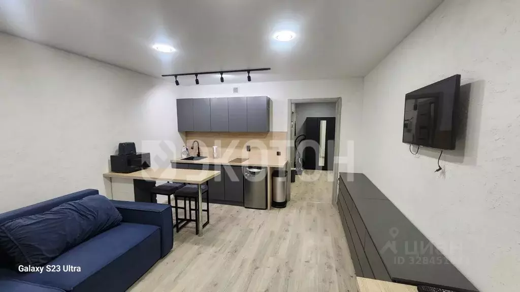 Студия Санкт-Петербург пос. Шушары, просп. Новгородский, 2к1 (27.5 м) - Фото 1