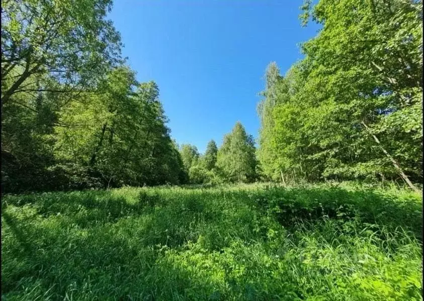 Участок в Московская область, Домодедово городской округ, д. Калачево ... - Фото 1