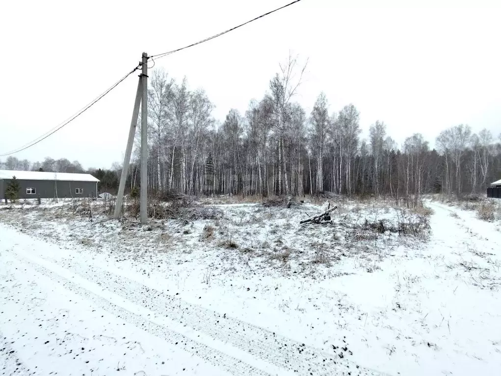 Участок в Курганская область, Кетовский муниципальный округ, д. Лукино ... - Фото 1