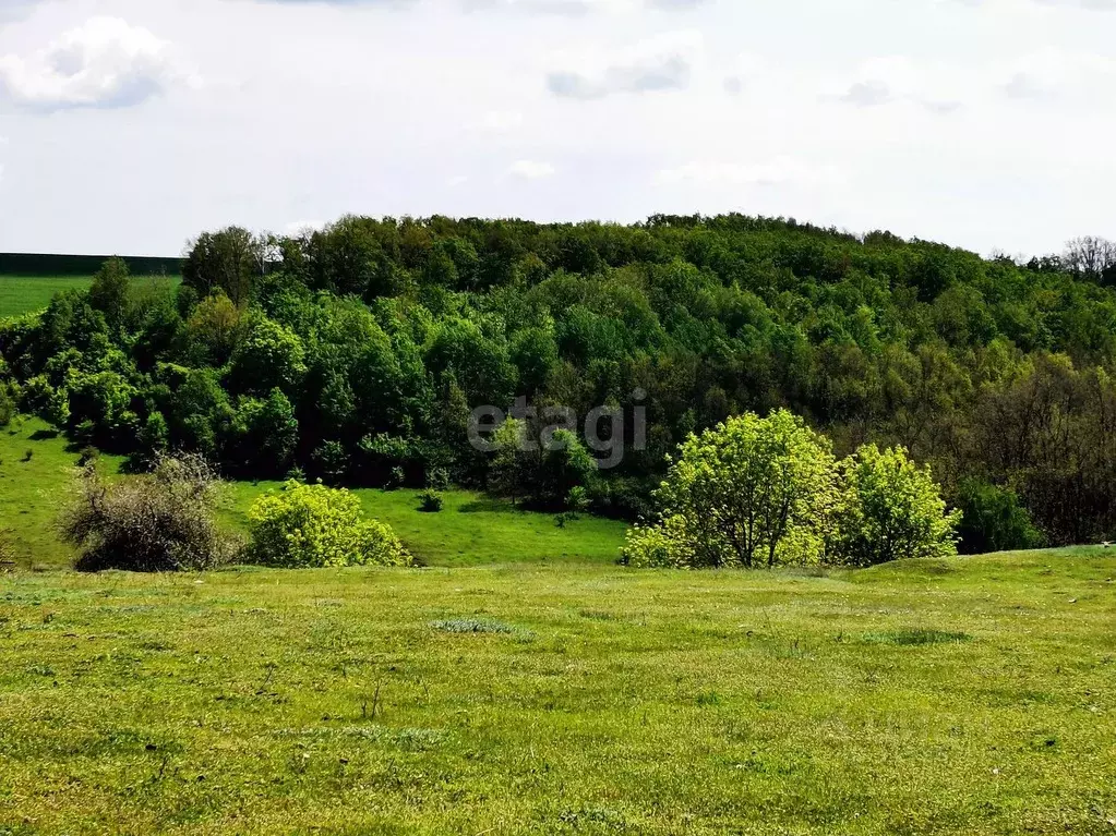 Участок в Белгородская область, Ровеньский район, Айдарское с/пос, с. ... - Фото 1