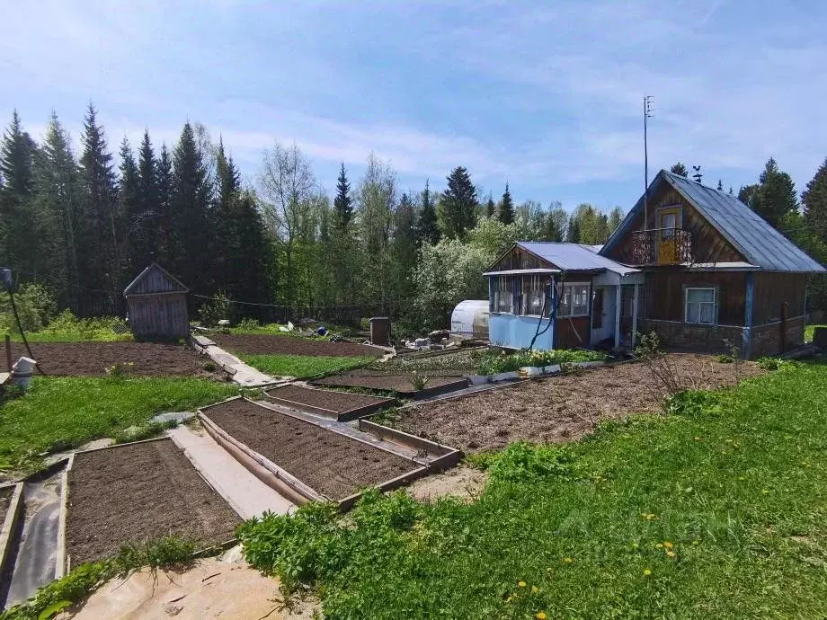 Дом в Пермский край, Березники № 53 СНТ,  (23 м) - Фото 2