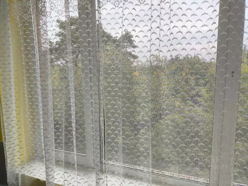 1-к кв. Московская область, Луховицы ул. Куйбышева, 267 (50.0 м) - Фото 2