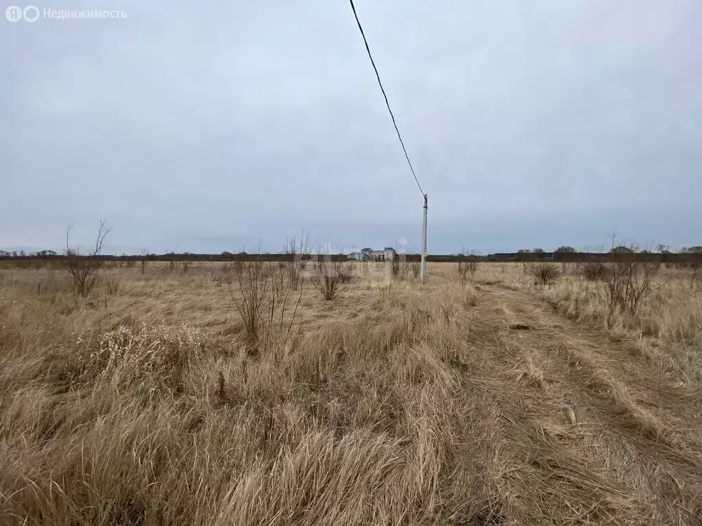Участок в Кулешовка, Тихая улица (20 м) - Фото 1
