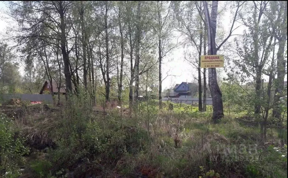 Участок в Ленинградская область, Шлиссельбург Кировский район, ... - Фото 2