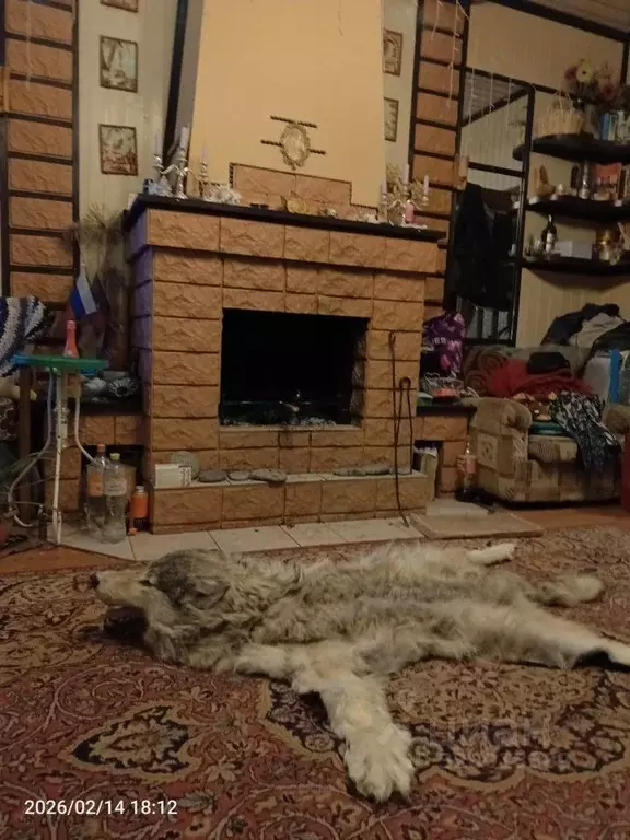 Комната Московская область, Раменский муниципальный округ, Быково пгт ... - Фото 2