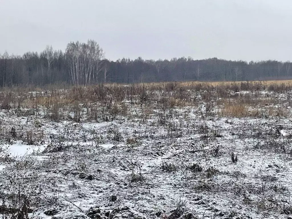 Участок в Московская область, Бронницы  (6.78 сот.) - Фото 0