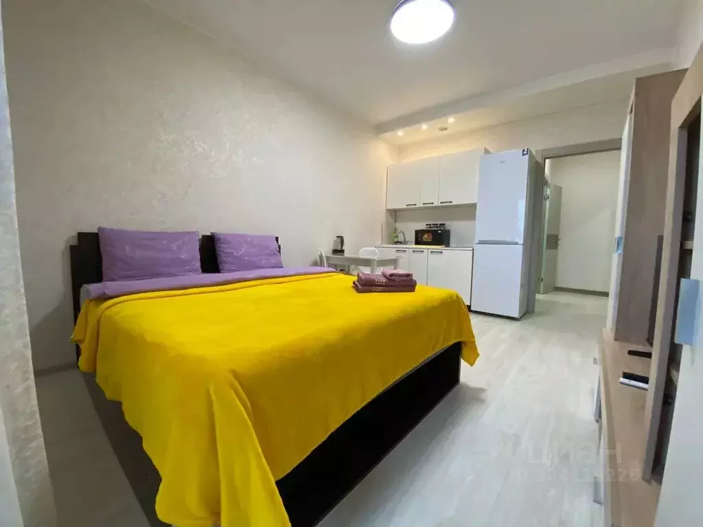 Студия Сахалинская область, Южно-Сахалинск ул. Ленина, 563к5 (36.0 м) - Фото 2