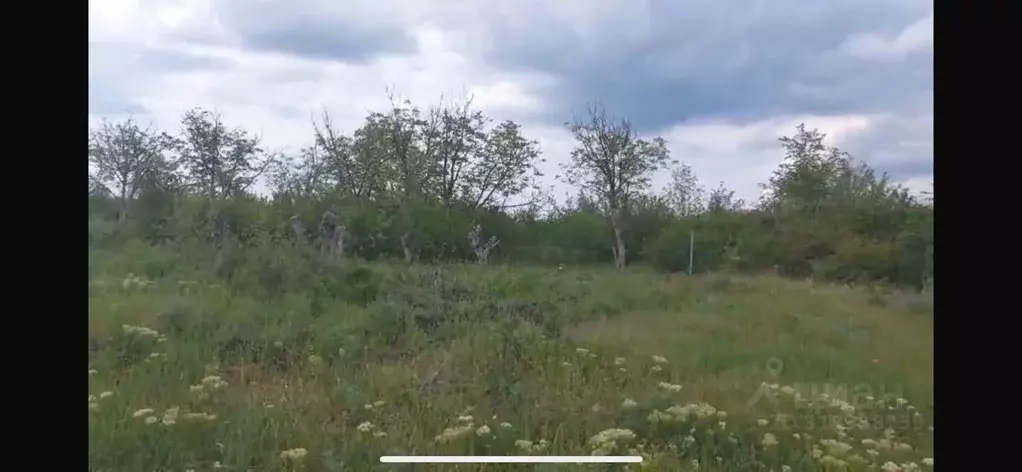 Участок в Ростовская область, Родионово-Несветайский район, ... - Фото 1