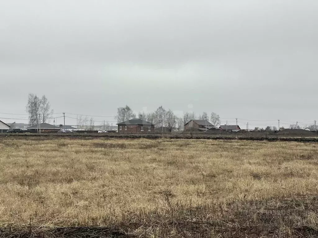 Участок в Мордовия, Лямбирский район, Берсеневское с/пос, Альтерра кп  ... - Фото 2