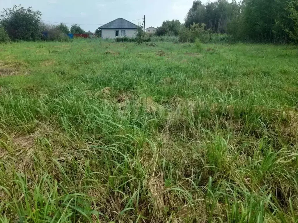Участок в Тюменская область, Тюмень Липовый Остров СНТ, пер. 1-й 7-й ... - Фото 1