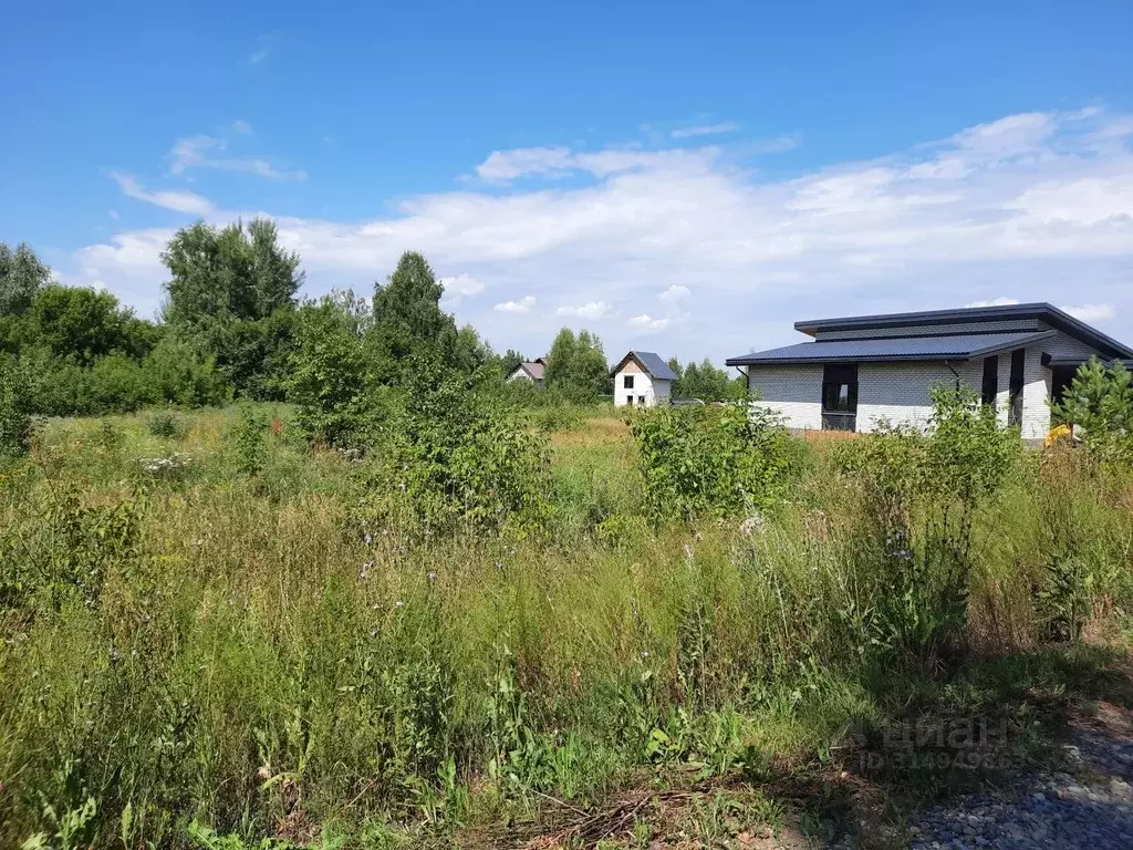 Участок в Алтайский край, Барнаул городской округ, пос. Бельмесево, ... - Фото 0