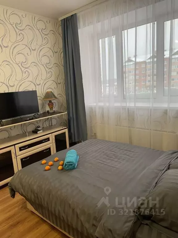 1-к кв. Московская область, Бронницы Южный-1 мкр, ул. Соловьиная Роща, ... - Фото 2