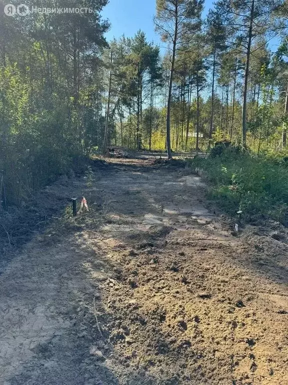 Участок в Шлиссельбург, Садовый переулок, 5 (8.5 м) - Фото 2