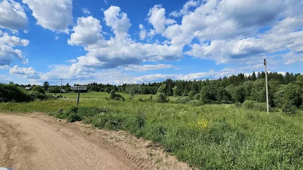 Участок в Новгородская область, Демянский муниципальный округ, д. ... - Фото 2