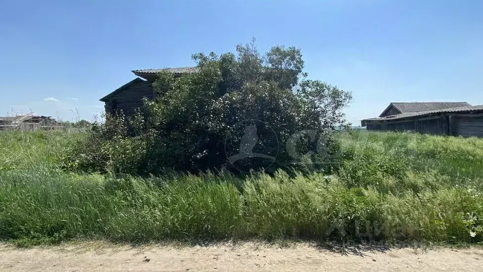 Дом в Курганская область, Шатровский муниципальный округ, с. ... - Фото 0