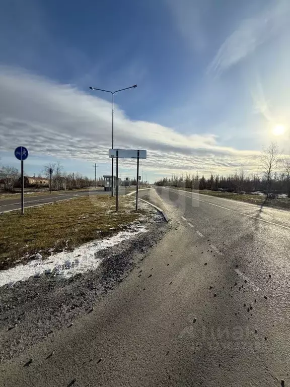 Участок в Ямало-Ненецкий АО, Новый Уренгой Фемида СНТ, ул. 2-я ... - Фото 2