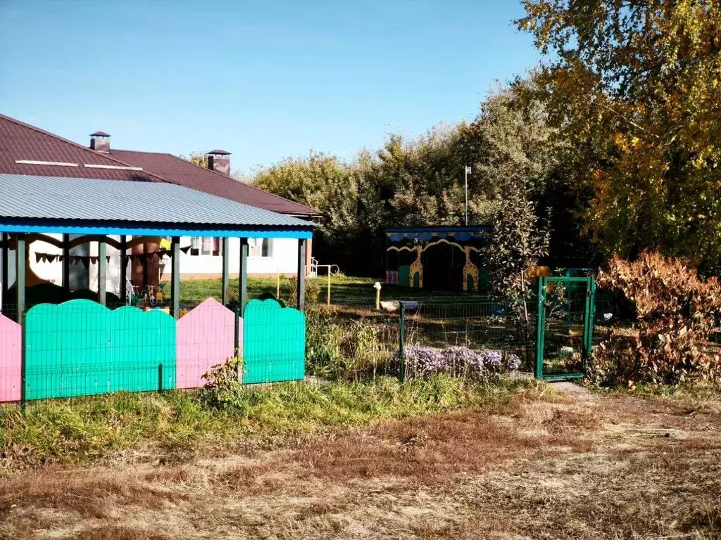 Дом в Самарская область, Богатовский район, Печинено с/пос, с. ... - Фото 2
