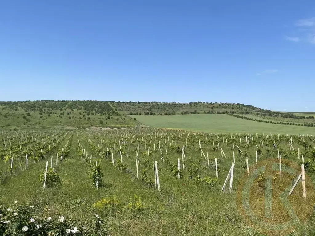 Участок в Крым, Бахчисарайский район, с. Угловое ул. Ленина, 91 (560.0 ... - Фото 0