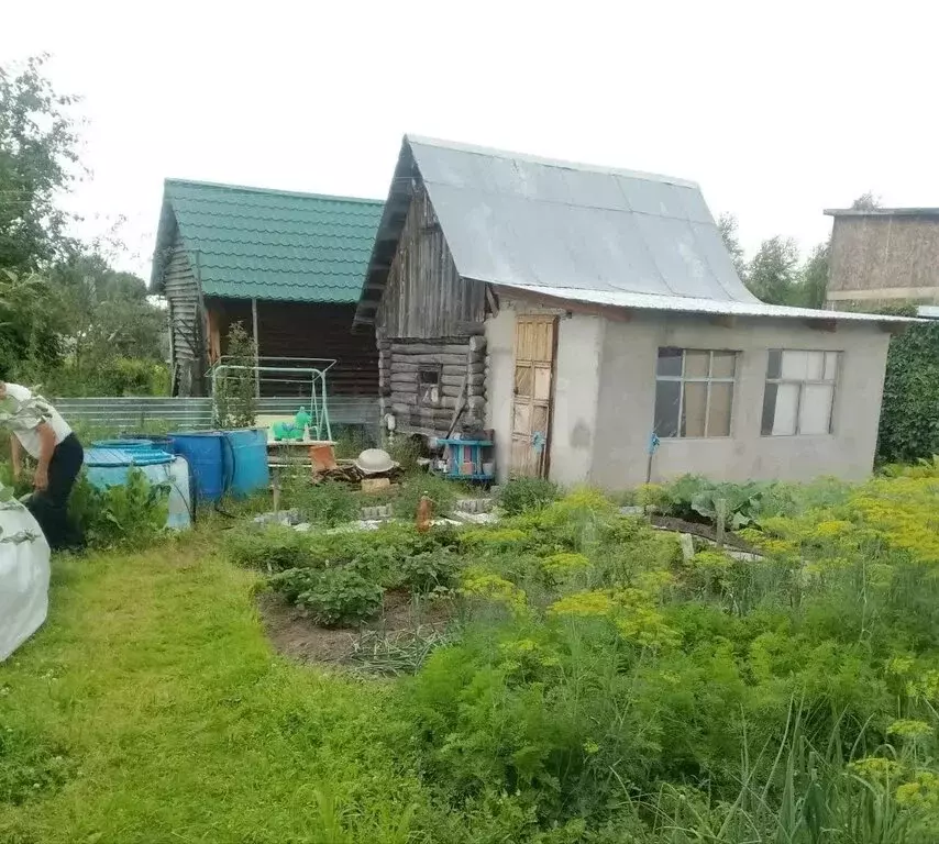 Участок в Тюменский муниципальный округ, СНТ Луговое, Земляничная ... - Фото 1