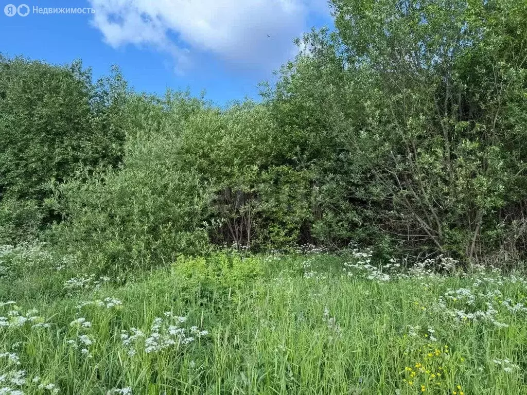 Участок в Вологодская область, Великоустюгский муниципальный округ, ... - Фото 1